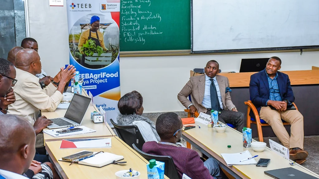 Beyond the Balance Sheet Measuring the True Value of Kenyas Food Systems web6